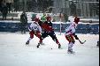 Norge-Hviterussland, bandy, vm, 2013, foto: Frank Nordseth