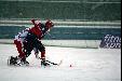 Norge-Hviterussland, bandy, vm, 2013, foto: Frank Nordseth