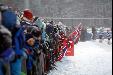 Norge-Hviterussland, bandy, vm, 2013, foto: Frank Nordseth