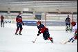 Norge-Hviterussland, bandy, vm, 2013, foto: Frank Nordseth